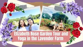 EXPERIENCE CONNECTICUT | Elizabeth Rose Garden | Yoga in the Lavender Farm | Marchmalloworld