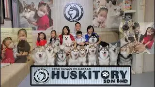 The Huskitory Melaka | Inu House