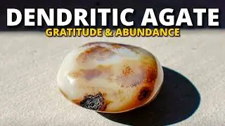 Discover The Properties and Uses of Dendritic Agate