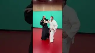 Torakan Karate &lsquo;Karate Essence&rsquo; Reality Check!  Variations of Shuto - knife-hand strike 6