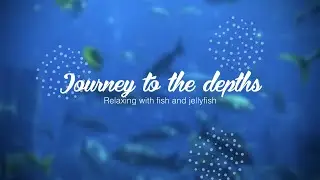 Journey to the Depths: Relaxing with Fish and Jellyfish