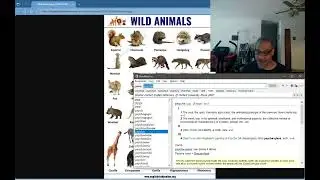 Here is the etymological breakdown of the word animal It's true meaning and usages.