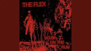 The Flex