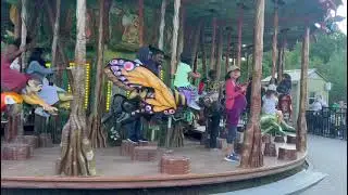 carousel ride at zoo 🐘🐼🐯