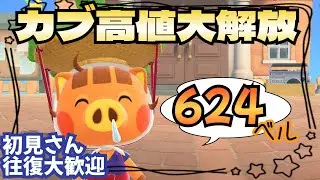 【あつ森実況】アプデ記念！カブ厳選！参加型！【初見さん歓迎！】