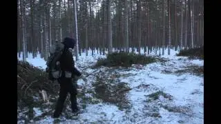 Ärjänsaari  -  Oulujärven helmi