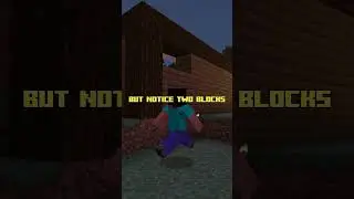 OCD explained in Minecraft