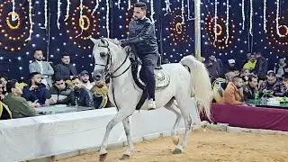 اصايل كونتنتدر جديد في جديد و محمد خالد غزال حفلة باريس 2024