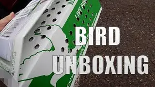 UNBOXING Video: My New Dove (1/8/2025)