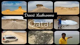 Desert Mushrooms-Rock Formation& Zekreet Beach Doha-Qatar മരുഭൂമിയിലെ അത്ഭുത കാഴ്ചകൾ തേടിയുള്ള യാത്ര