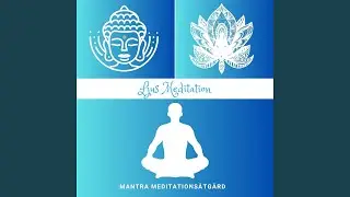Mindfulness Meditation