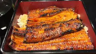 🇯🇵Japanese comfort food at its finest(うなぎの蒲焼)UNAGI or EEL 