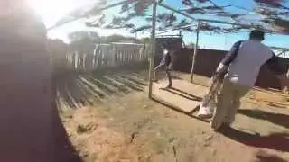 My time at Cheetah Experience