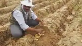 للقضاء على ملوحة مياه الابار