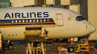 Singapore Airlines A359 9V-SMJ parked up In stand at Manchester Airport