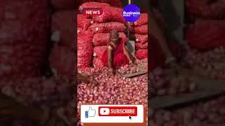 Onion Exports पर सरकार ने लिया बड़ा फैसला! | Onion Price control | Onion Export Decision