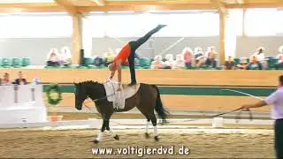 Robert Stopka (SVK) - CVI2 Male 02 - CVI Ebreichsdorf 2017