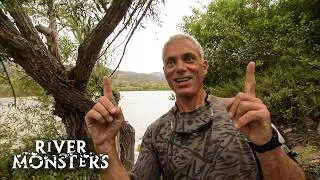 HUGE fearless Catfish LURKS in the River Shadows, ready to AMBUSH | River Monsters