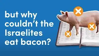 Weird&nbsp;Food Laws & God&rsquo;s Purpose