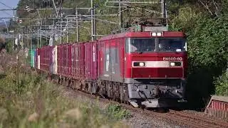 青い森鉄道 EH500形 3079レ 北高岩駅通過 2025年9月27日