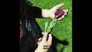 T4LO - Otra Vez Soy Yo (Visualizer)
