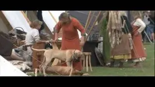 Viking Market 2009: