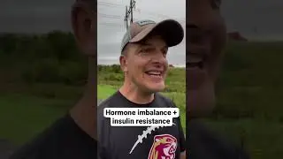Insulin Resistance is Weight Loss Resistance #shorts #hormoneimbalance