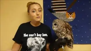 Wild Bird Rescue's Educational Program
