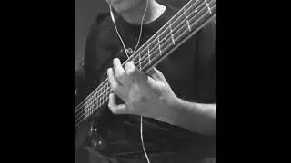 Fernandes Bass Upgrade EMG PU & PREAMP
