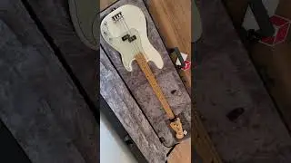 Fender Deluxe Molded Electric Bass Case Review Follow Up  #bassguitar