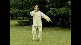 Taiji Yang Long Form