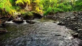 Deep River Sound Therapy for Emotional Healing and Stress-Free Sleeping