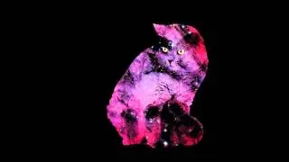 Kazuko Kawashima ~Dancing Fool~