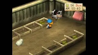 It's Our Spring Tea Party, Budum! | Spring, Year 2 | Harvest Moon: Back to Nature | Twitch