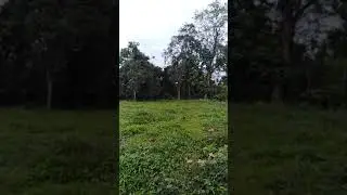 Drone to plane conversion.