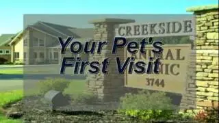 Your Pet's First Visit