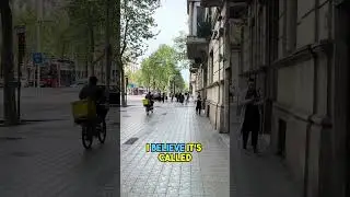 Exploring Avinguda Diagonal: Barcelona's Bustling Lifeline!!!