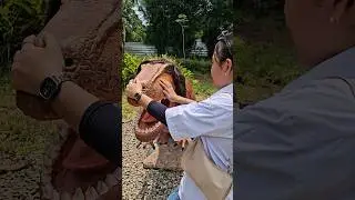amel ko itu dinonya ada rambutnya #trendingshorts