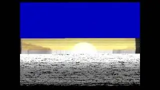 Den glemte side af VHS