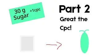 Thanks for 1 year! The Sugar Evoluter (2026) - Part 2 “Great the CPC!”