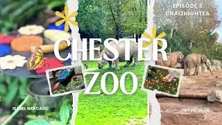 A Fun Family Day at Chester Zoo! 🦁 Exploring with Our Little One