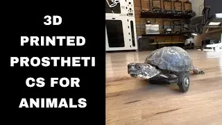 3D Printed Prosthetics For Animals