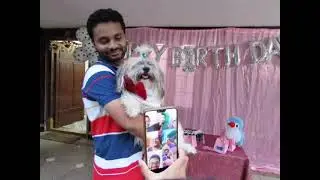 Happy Birthday to my Furry Baby