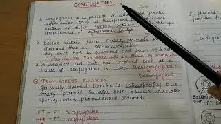 Conjugation (Genetic recombination in bacteria)