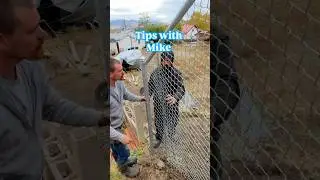 Chain-link fence tips #tipsandtricks #tips #chainlink #howto #btsshorts