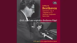 Piano Concerto No. 1 for Piano and Orchestra in C Major, Op. 15: II. Largo