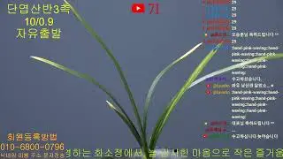 화소정 - 26년 01월 24일 29회 실시간 경매