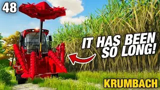 IT'S BEEN SO LONG!! | Krumbach | Farming Simulator 22 - Episode 48