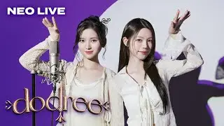 NEO LIVE | dodree (도드리) - 꿈만 같았다