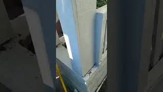 Termite Inspection